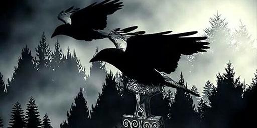 RAID SIMULATOR[Viking]