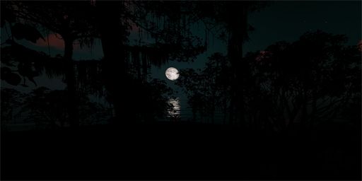 Nightly | Solo | Beginner | Vanilla