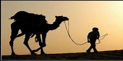 Chicago Rust No Decay