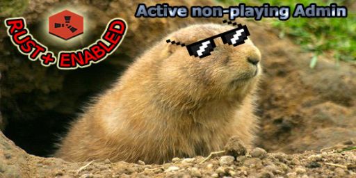 Groundhog Day | Vanilla+ | Builds and Beginner Friendly