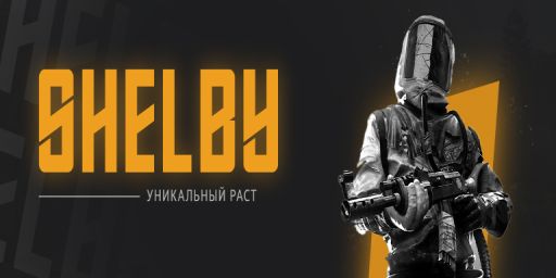 SHELBY RUST Х5 MAX5 |KIT|SHOP|SKIN|WIPE 16.05