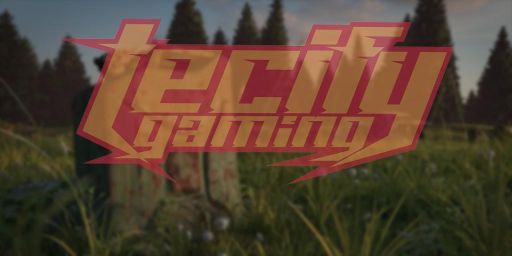 [EU] TECIFY-Rust.com - [PvE] KITS/BL/BP (BETA)