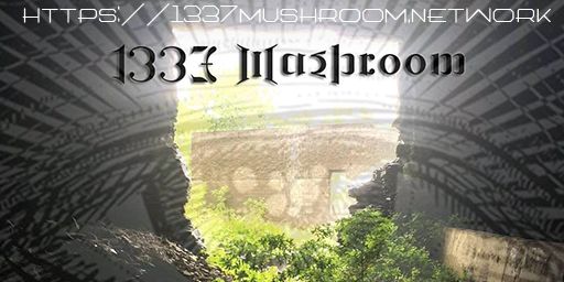 1337Mushroom