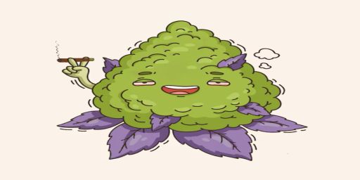 Stoney's World 10x Weed