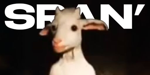 sran' inc. | GOOD JOINT