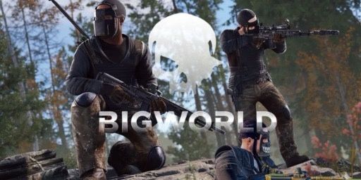 BIGWORLD |X10000000|BATLLEFIELD|HARDPVP|KIT