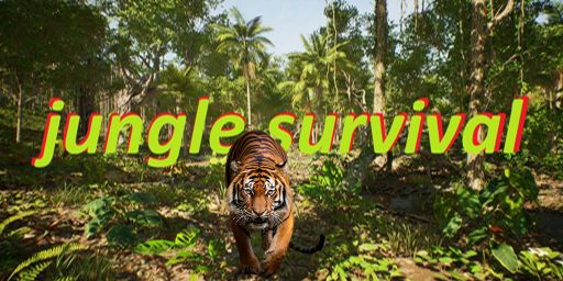 DK JUNGLE SURVIVAL [ NO KILL ] [ NO STEAL ]