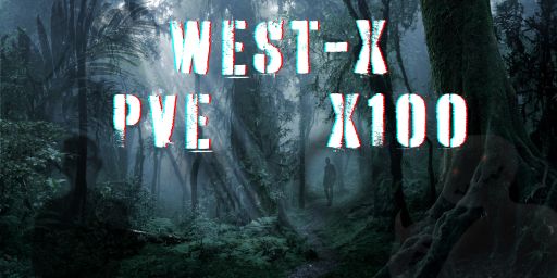 West-X PVE X100
