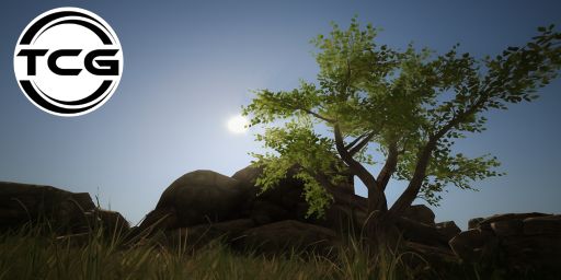 The Casual Gamers DEV/Team