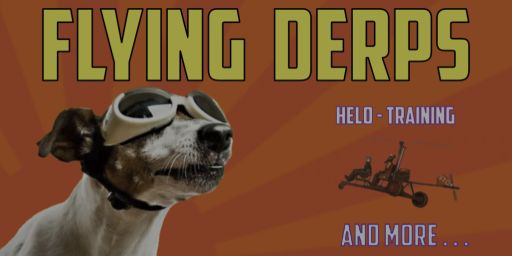 FLYING TURBANS 2 - (updating) Minicopter / Helicopter Training