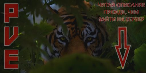 [RU][PvE] Amateur Full Classic | Для новичков