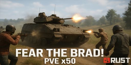 Fear the Brad x50 gather 10x loot - custom heli/brad + legendar
